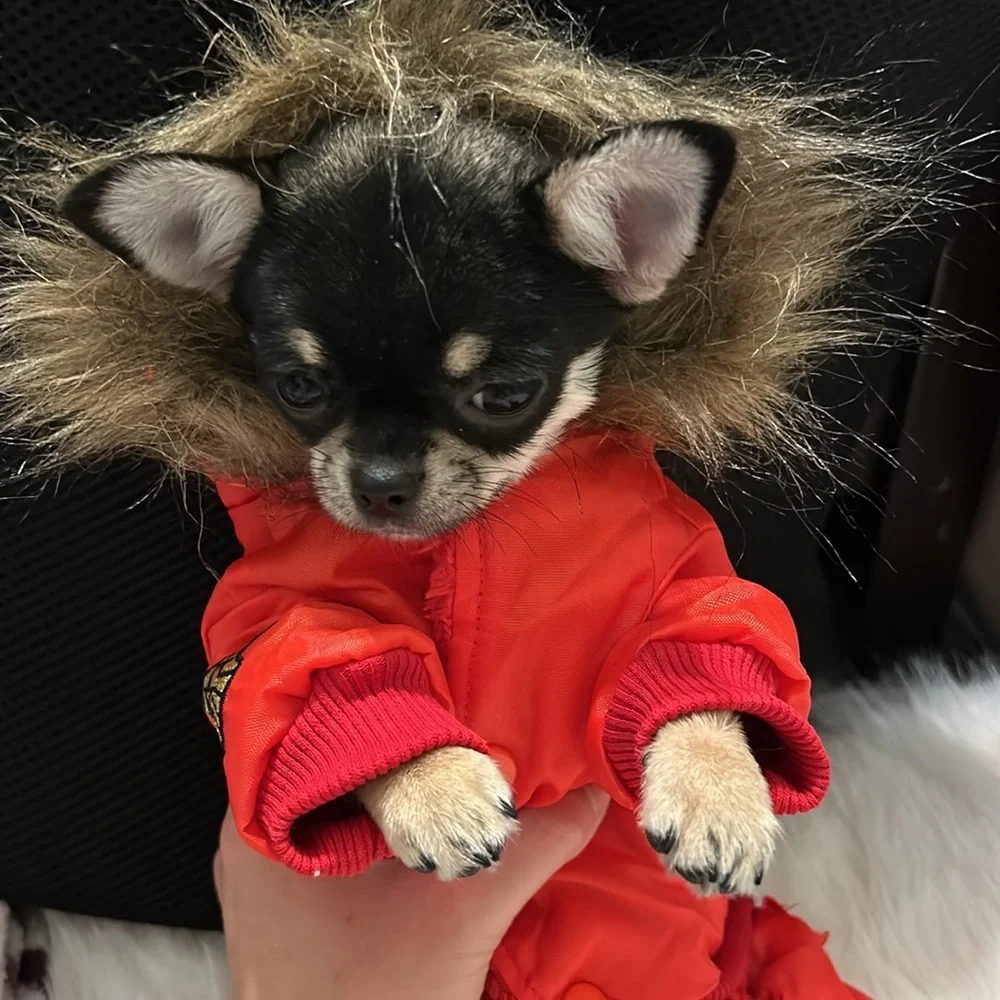Cozy dog winter jacket